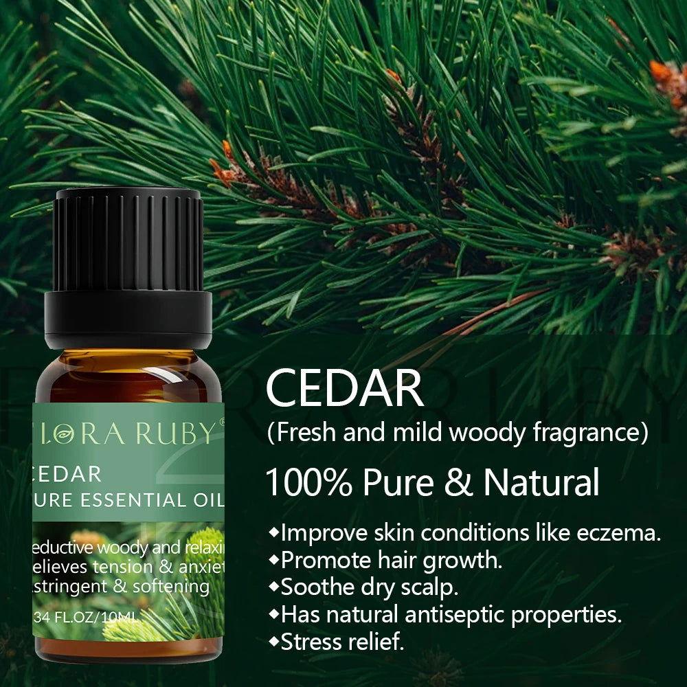 Essential Oil for Diffuser - 100% Natural Oils Set for Aromatherapy - Steam Soothe