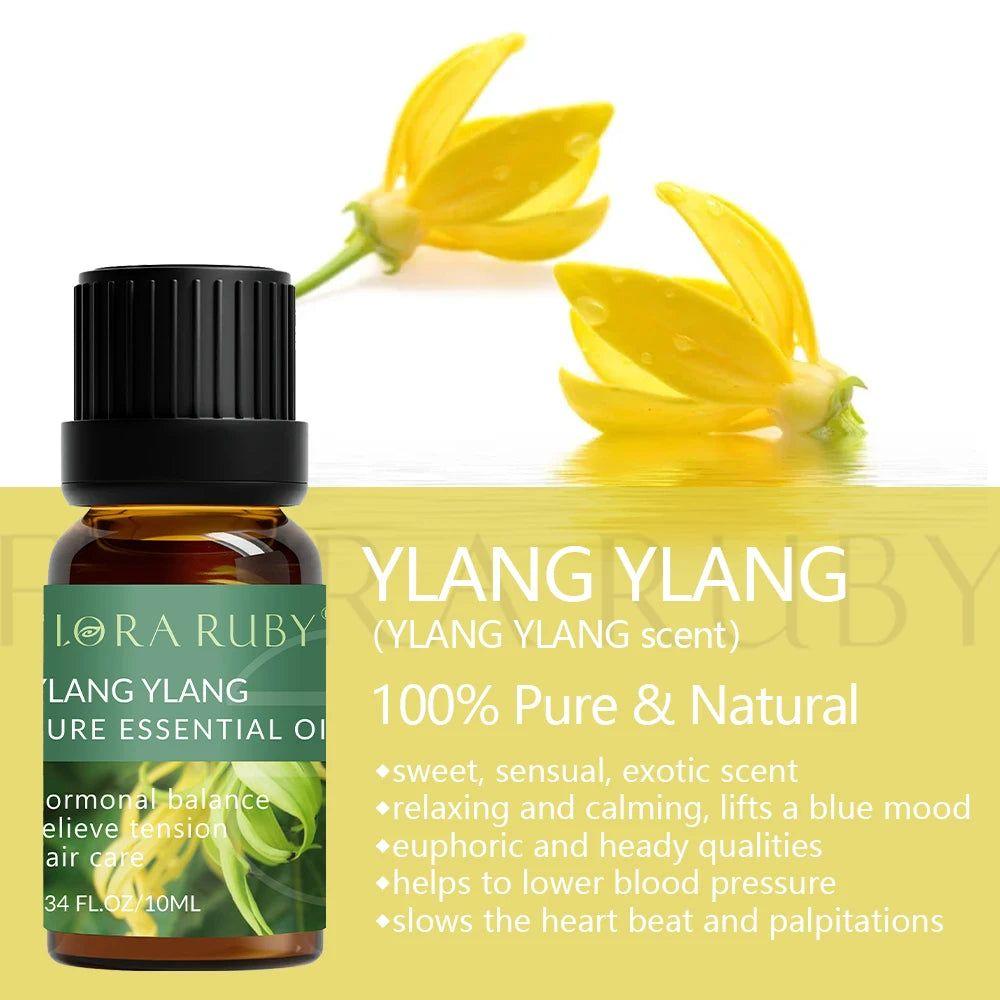 Essential Oil for Diffuser - 100% Natural Oils Set for Aromatherapy - Steam Soothe