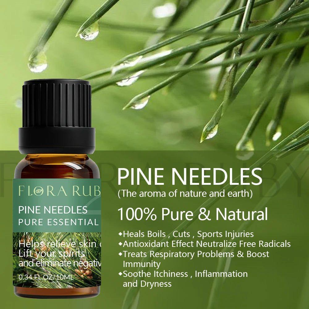 Essential Oil for Diffuser - 100% Natural Oils Set for Aromatherapy - Steam Soothe